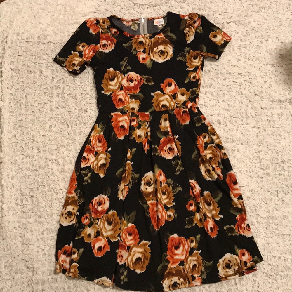 LuLaRoe Amelia Fall Dress